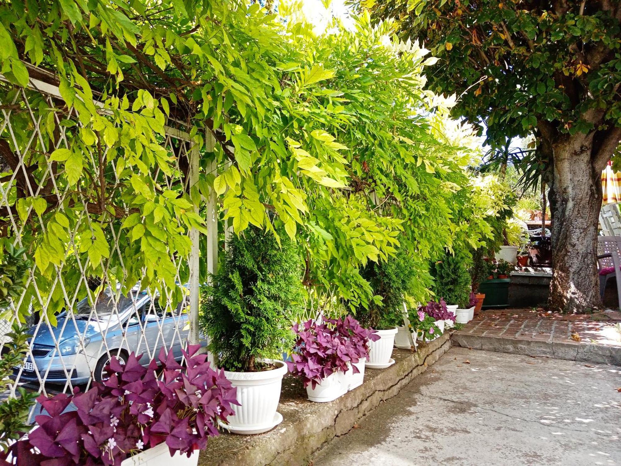Belgrade Apartment Happy Garden 外观 照片