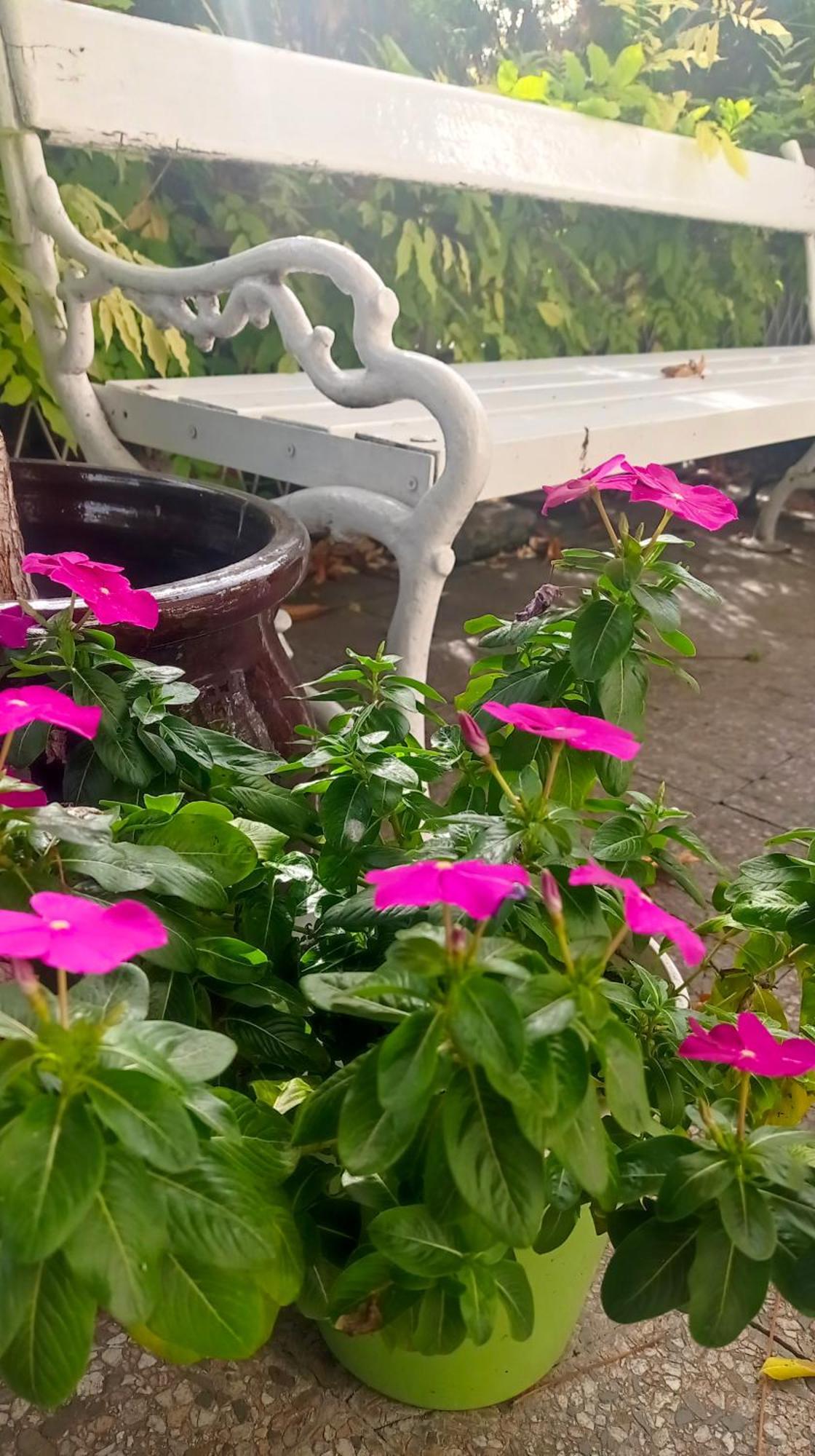 Belgrade Apartment Happy Garden 外观 照片