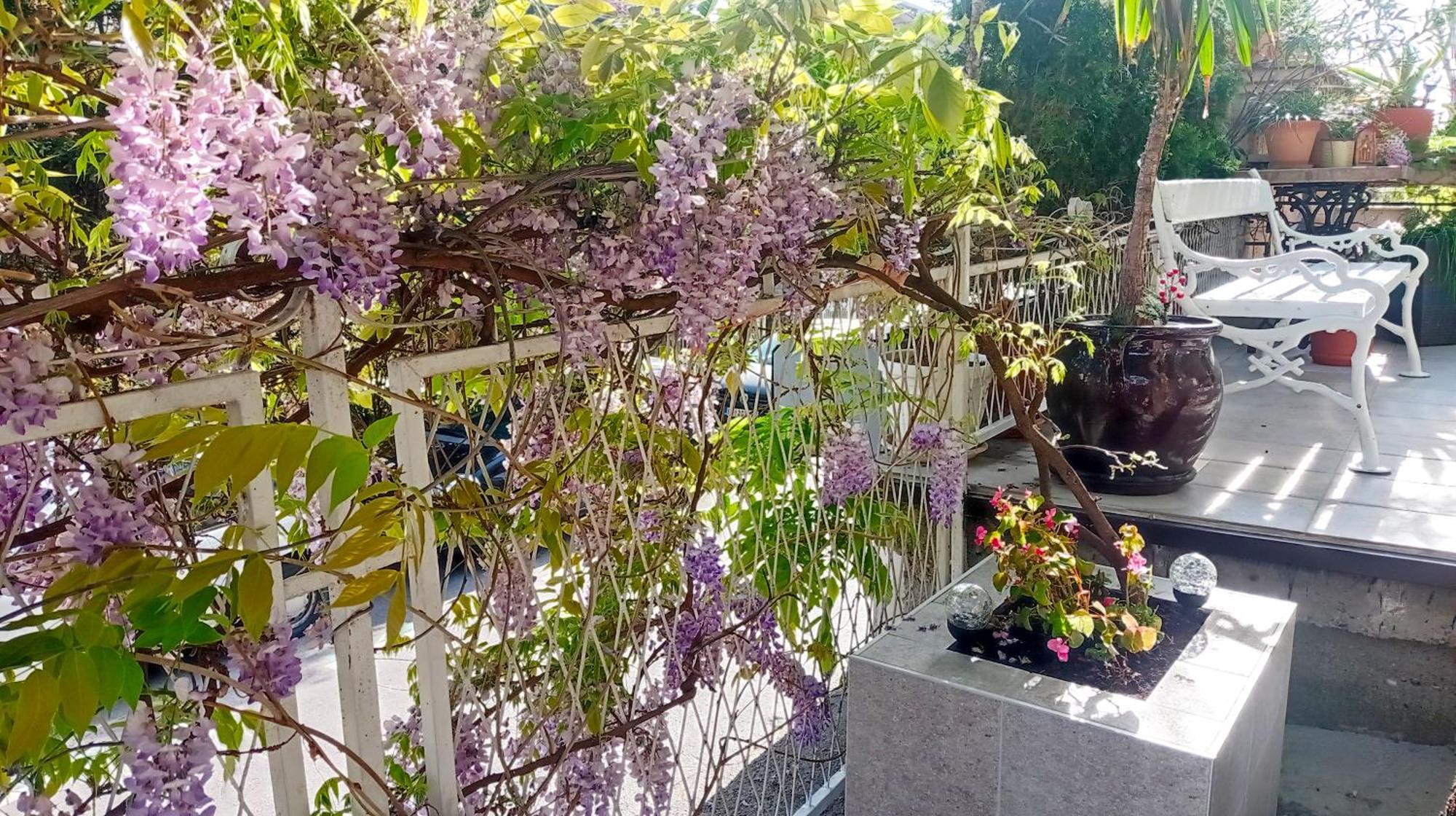 Belgrade Apartment Happy Garden 外观 照片