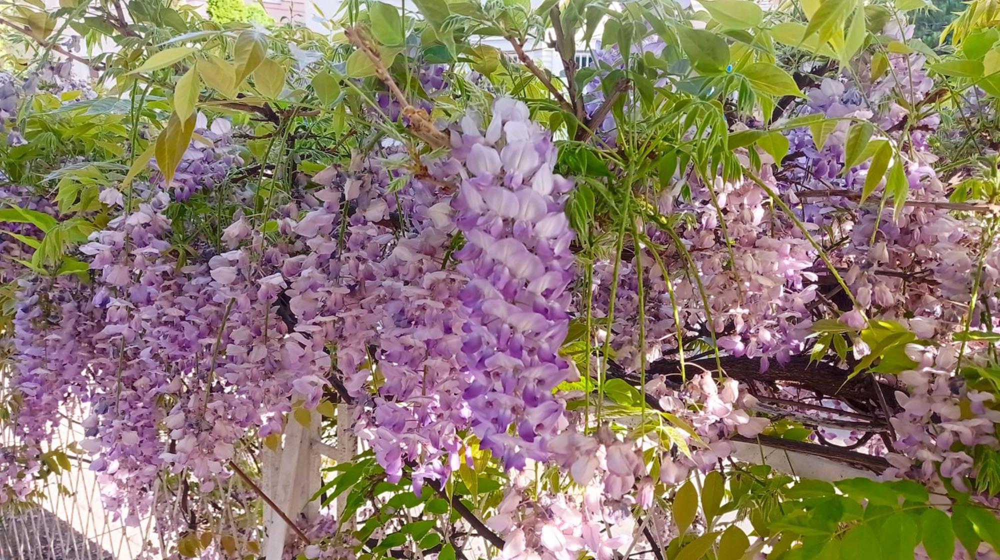 Belgrade Apartment Happy Garden 外观 照片