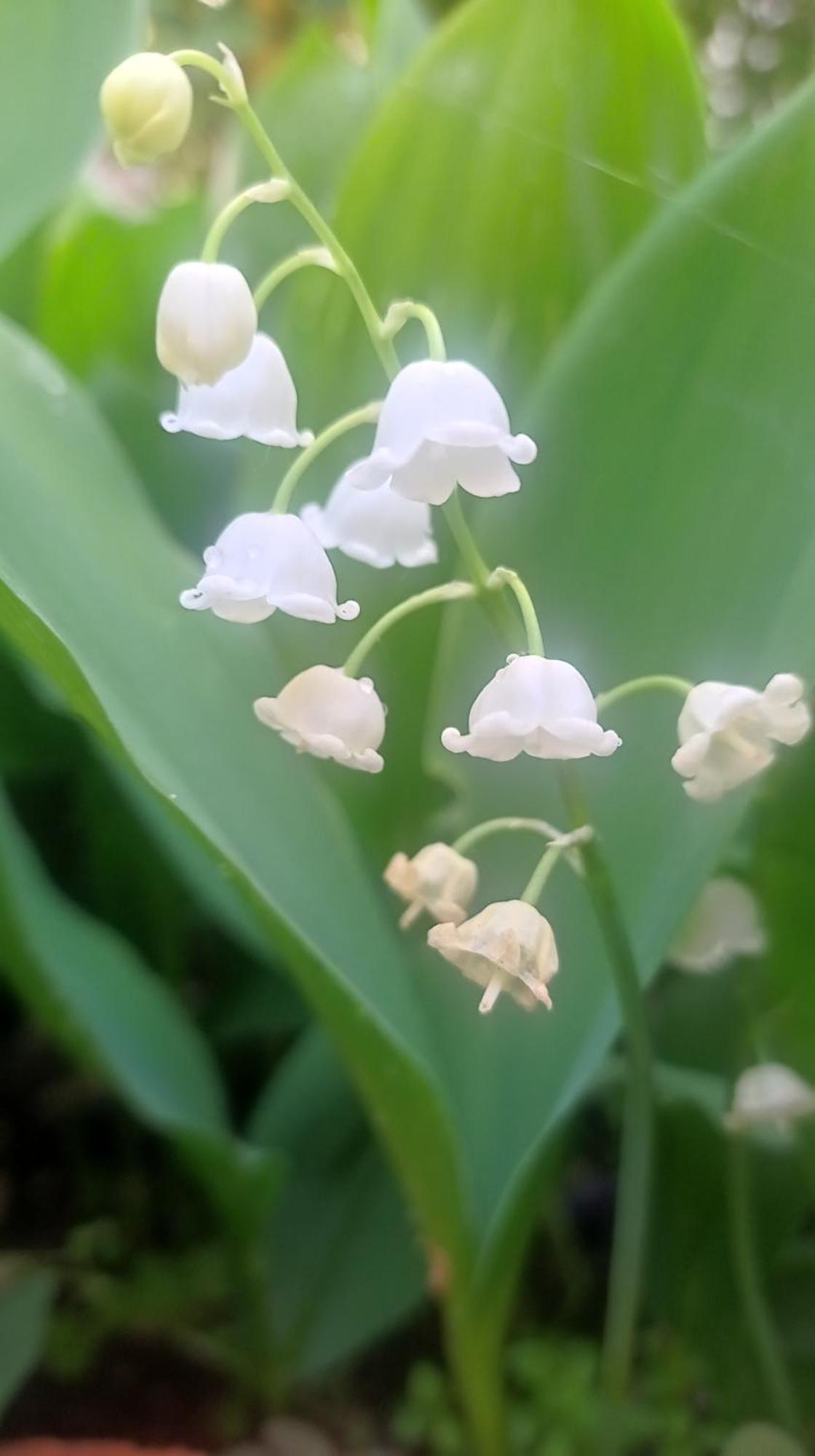 Belgrade Apartment Happy Garden 外观 照片
