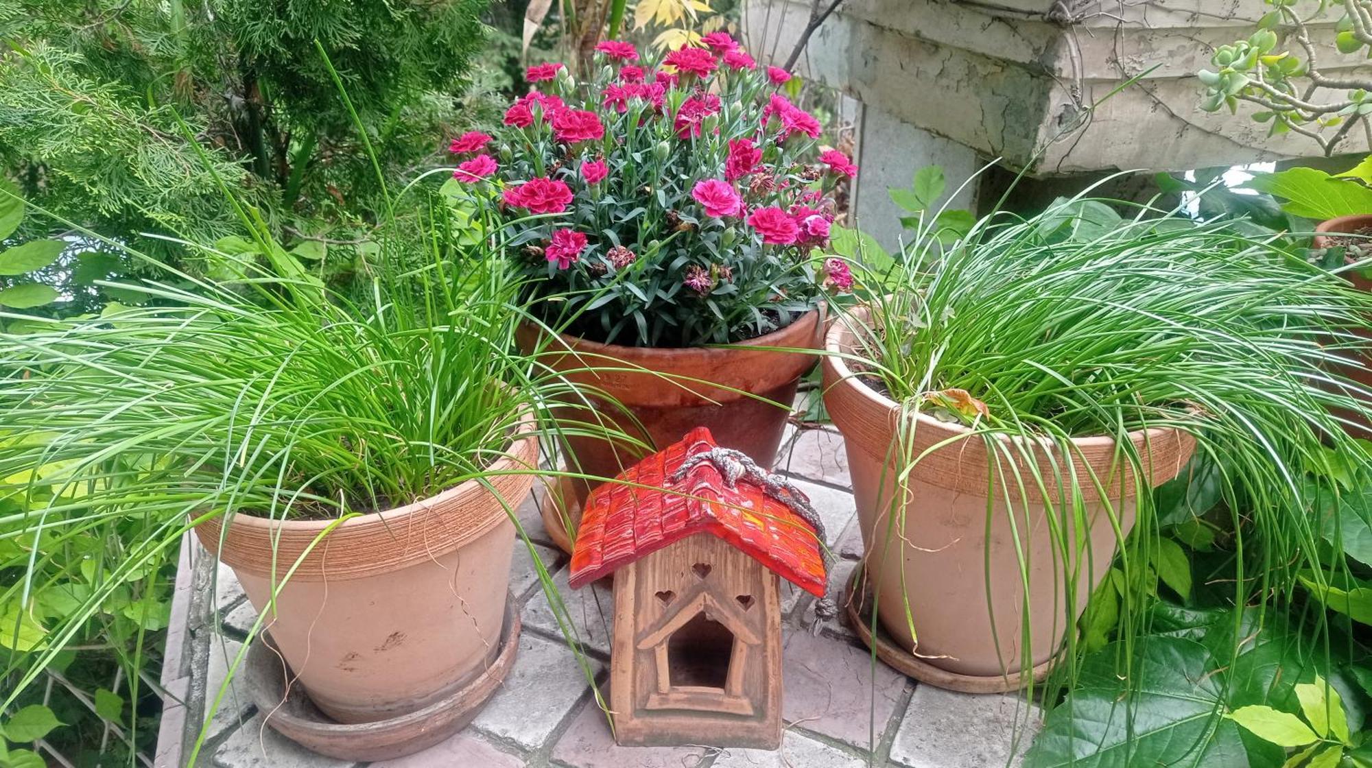 Belgrade Apartment Happy Garden 外观 照片