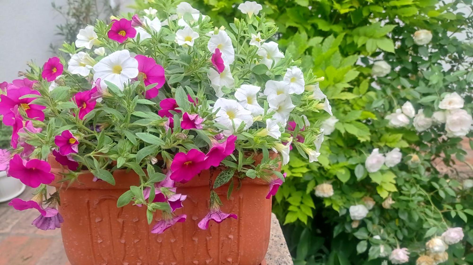 Belgrade Apartment Happy Garden 外观 照片